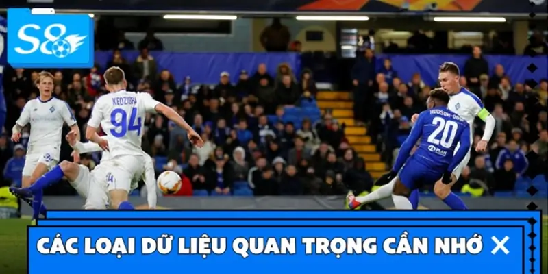 Các loại dữ liệu quan trọng cần nhớ khi thống kê