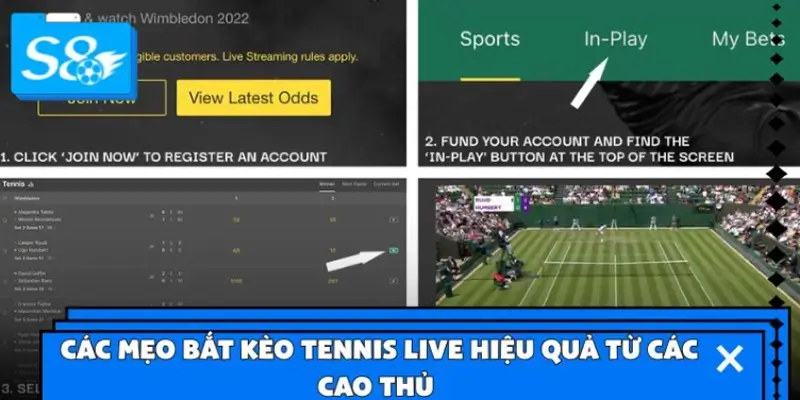 Các mẹo bắt kèo Tennis Live hiệu quả từ các cao thủ
