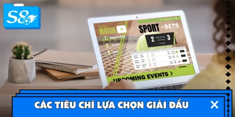 Các tiêu chí lựa chọn giải đấu thể thao đáng cược nhất