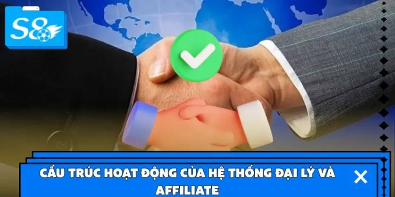 Cấu trúc hoạt động của hệ thống đại lý và affiliate