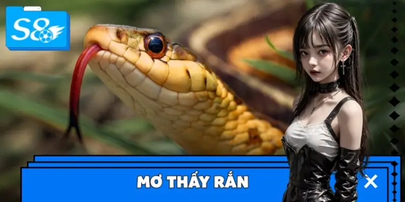 Giải Mã Giấc Mơ Thấy Rắn - Con Số May Mắn Ẩn Sau Điềm Báo