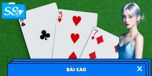 Hướng Dẫn Cách Chia Bài Và Tính Điểm Trong Bài Cào