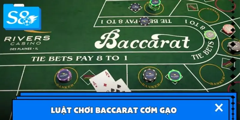 Luật chơi Baccarat cơm gạo – Dễ tiếp cận, thắng nhanh gọn lẹ Luật chơi Baccarat cơm gạo – Dễ tiếp cận, thắng nhanh gọn lẹ