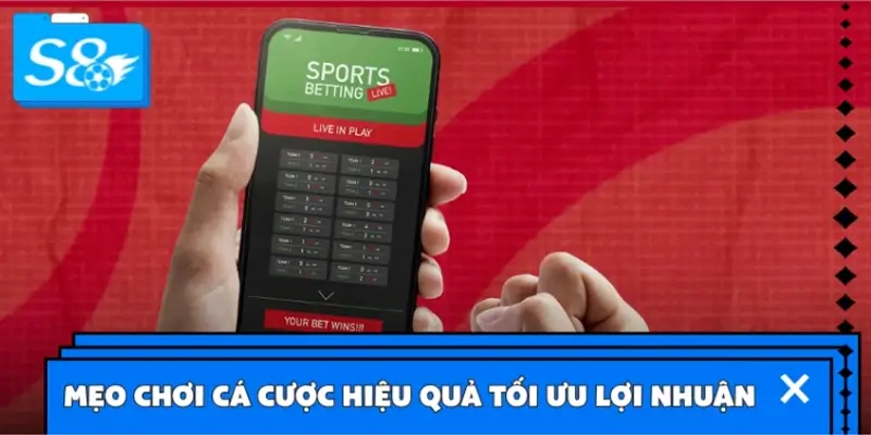 Mẹo giúp chơi cá cược kèo phạt góc hiệu quả tối ưu lợi nhuận