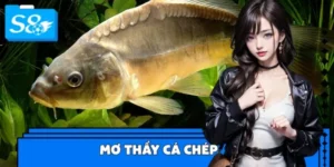 Mơ Thấy Cá Chép, Cá Vàng - Đánh Con Số Gì Để Trúng Độc Đắc?