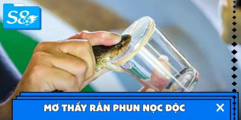 Mơ thấy rắn phun nọc độc