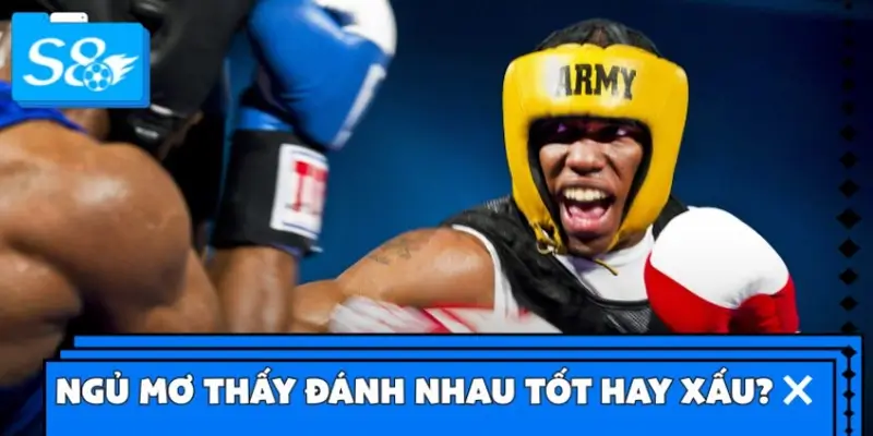 Ngủ mơ thấy đánh nhau tốt hay xấu?