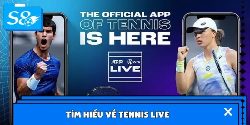 Tìm hiểu về Tennis Live 