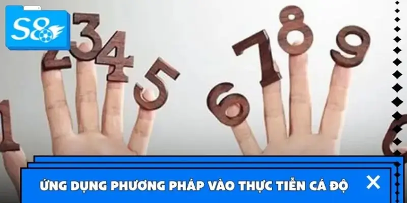 Ứng dụng cách chọn số đẹp vào thực tế cá độ