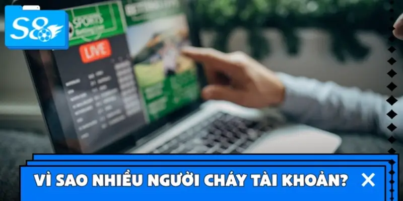 Vì sao nhiều người chơi cá cược thể thao cháy tài khoản?